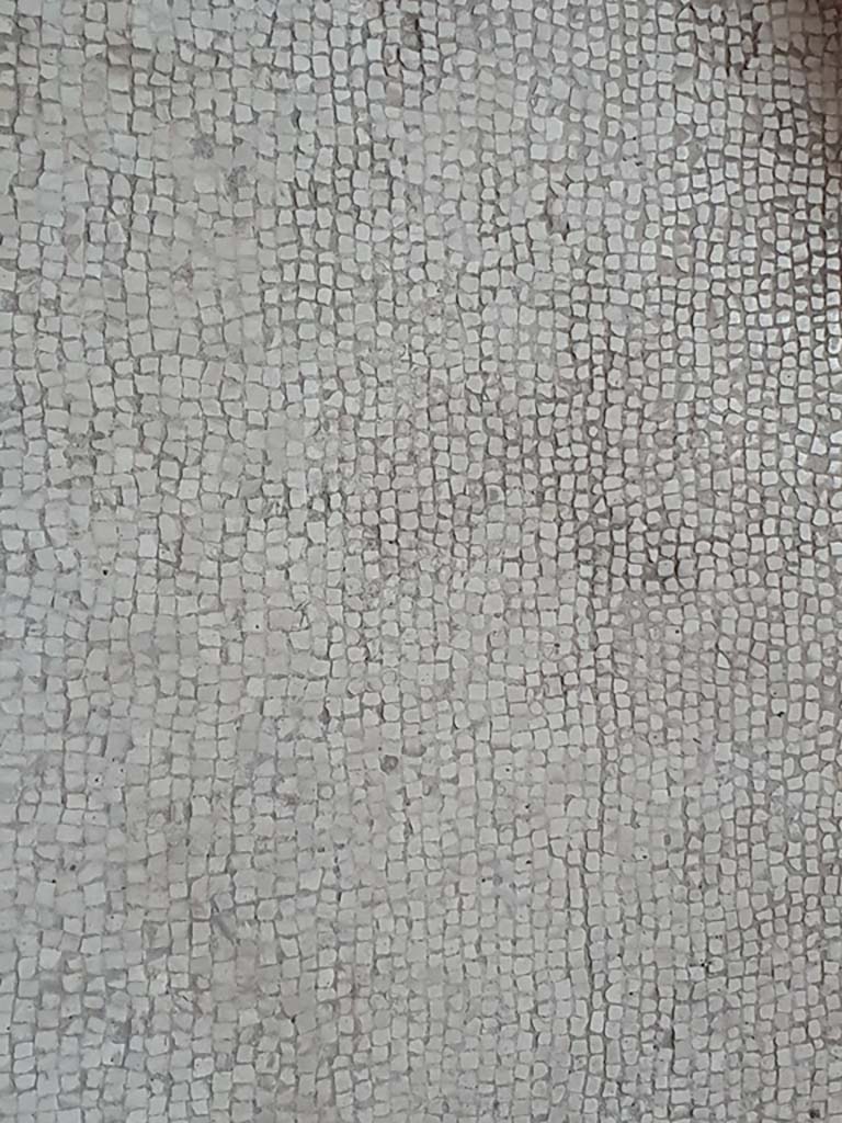 VII.1.8 Pompeii. July 2021. Caldarium 9, flooring.     
Foto Annette Haug, ERC Grant 681269 DCOR
