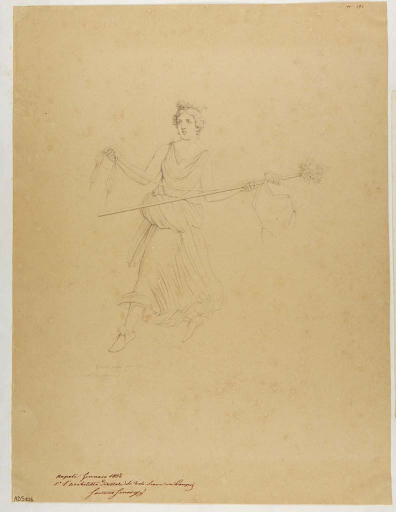 VII.1.25 Pompeii. Peristyle 31. Drawing by Nicola La Volpe, 1856, of figure of Maenad in flight with thyrsus and ribbons.
This would have probably been seen on the west wall. Now in Naples Archaeological Museum. Inventory number ADS 526.
Photo © ICCD. http://www.catalogo.beniculturali.it
Utilizzabili alle condizioni della licenza Attribuzione - Non commerciale - Condividi allo stesso modo 2.5 Italia (CC BY-NC-SA 2.5 IT)
See Helbig, W., 1868. Wandgemälde der vom Vesuv verschütteten Städte Campaniens. Leipzig: Breitkopf und Härtel, (490).