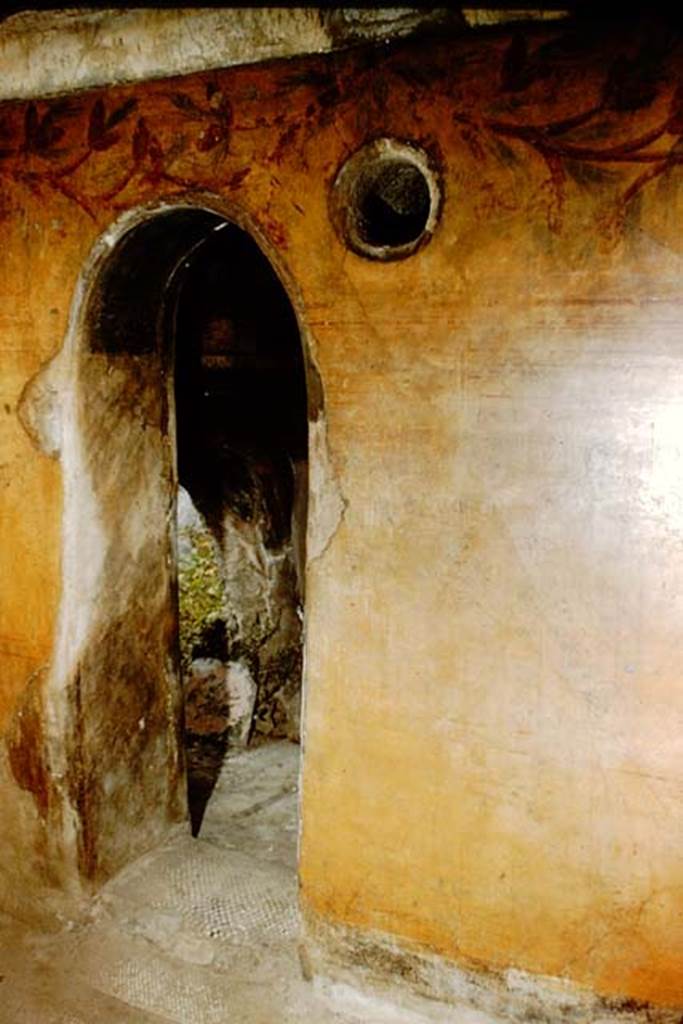 VII.1.40 Pompeii. 1959. East wall of tepidarium, with doorway at the northern end linking to the caldarium. Photo by Stanley A. Jashemski.
Source: The Wilhelmina and Stanley A. Jashemski archive in the University of Maryland Library, Special Collections (See collection page) and made available under the Creative Commons Attribution-Non Commercial License v.4. See Licence and use details.
J59f0397