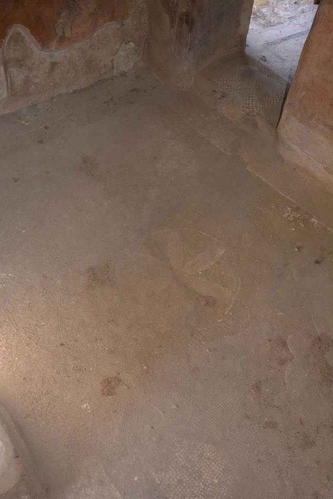 VII.1.40 Pompeii. September 2019. Tepidarium 15, mosaic flooring with emblema.
Foto Annette Haug, ERC Grant 681269 DÉCOR.
According to PPM –
“The black and white mosaic flooring showed a flower in the centre, around which were a series of objects for the bath/water (fish, dolphins, a sandal and a strigil) and birds.”
See Carratelli, G. P., 1990-2003. Pompei: Pitture e Mosaici. Roma: Istituto della enciclopedia italiana, p.430, no.98.