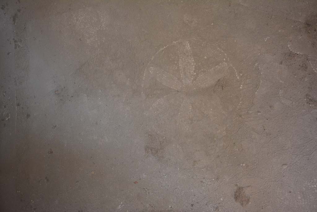 VII.1.40 Pompeii. September 2019. Tepidarium 15, flooring with 6-petalled flower in mosaic.
Foto Annette Haug, ERC Grant 681269 DÉCOR.