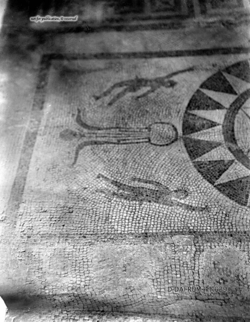 VII.1.40 Pompeii. c.1930. Mosaic flooring in caldarium.
DAIR 41.639. Photo © Deutsches Archäologisches Institut, Abteilung Rom, Arkiv.
See Pernice, E. 1938. Pavimente und Figürliche Mosaiken: Die Hellenistische Kunst in Pompeji, Band VI. Berlin: de Gruyter, (tav. 20.1, above.)