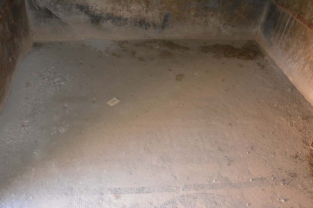 VII.1.40 Pompeii. September 2019. Caldarium 16, looking east across flooring.
Foto Annette Haug, ERC Grant 681269 DÉCOR.