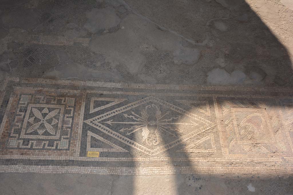 VII.1.40 Pompeii. September 2019.
Tablinum 11, east end of threshold with black and white mosaics with the use of polychrome tesserae.
Foto Annette Haug, ERC Grant 681269 DÉCOR.