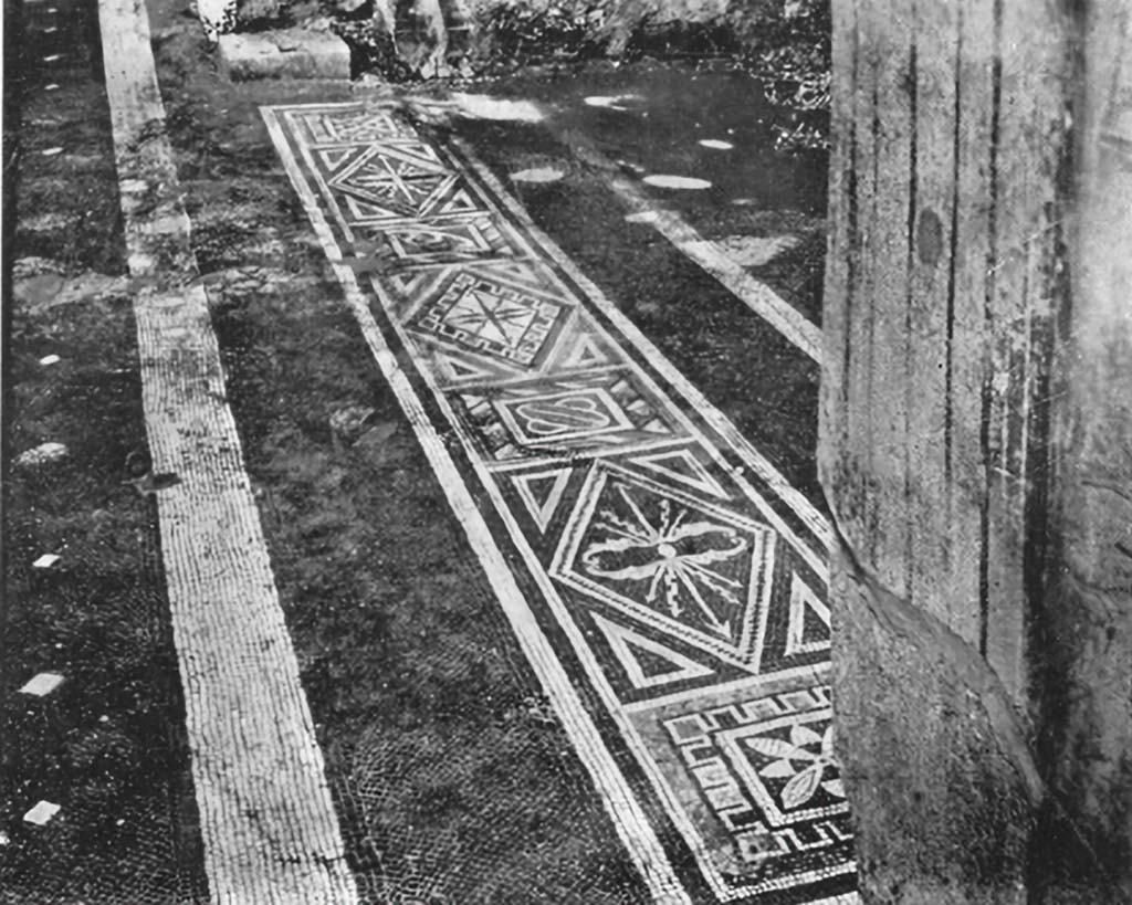 VII.1.40 Pompeii. c.1930. Looking towards east along south side of atrium and threshold of tablinum.
See Blake, M., (1930). The pavements of the Roman Buildings of the Republic and Early Empire. Rome, MAAR, 8, (p. 60, & 75, and Pl.18, tav. 2.)