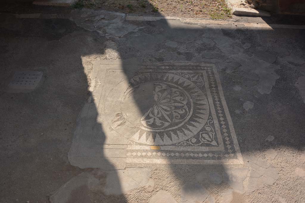 VII.1.40 Pompeii. September 2019. Tablinum 11, black and white central emblema.
Foto Annette Haug, ERC Grant 681269 DÉCOR.