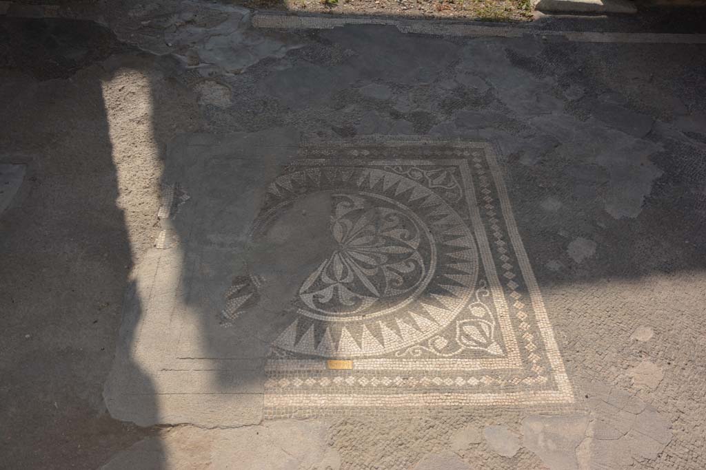 VII.1.40 Pompeii. September 2019. Tablinum 11, detail from central emblema.
Foto Annette Haug, ERC Grant 681269 DÉCOR.