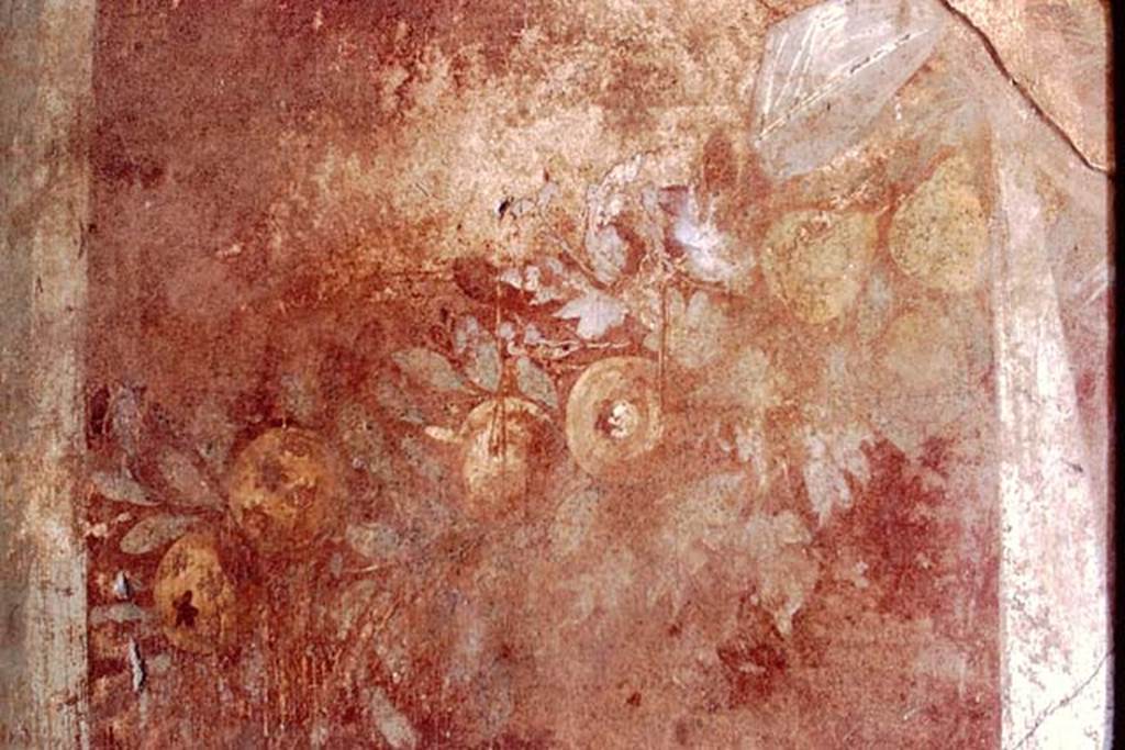 VII.1.40 Pompeii. 1971. Oecus, detail of painted garland of fruit and leaves from west end of north wall.  Photo by Stanley A. Jashemski.
Source: The Wilhelmina and Stanley A. Jashemski archive in the University of Maryland Library, Special Collections (See collection page) and made available under the Creative Commons Attribution-Non Commercial License v.4. See Licence and use details. J71f0163
