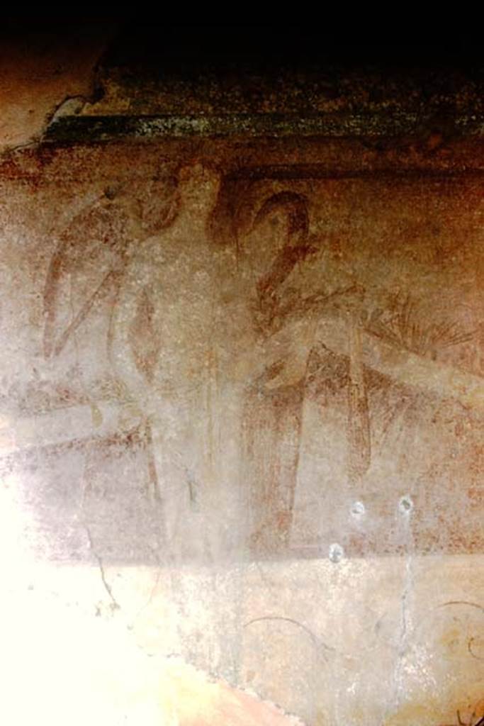 VII.1.40 Pompeii. 1959. Decoration from south wall of oecus. Photo by Stanley A. Jashemski.
Source: The Wilhelmina and Stanley A. Jashemski archive in the University of Maryland Library, Special Collections (See collection page) and made available under the Creative Commons Attribution-Non Commercial License v.4. See Licence and use details.
J59f0399
