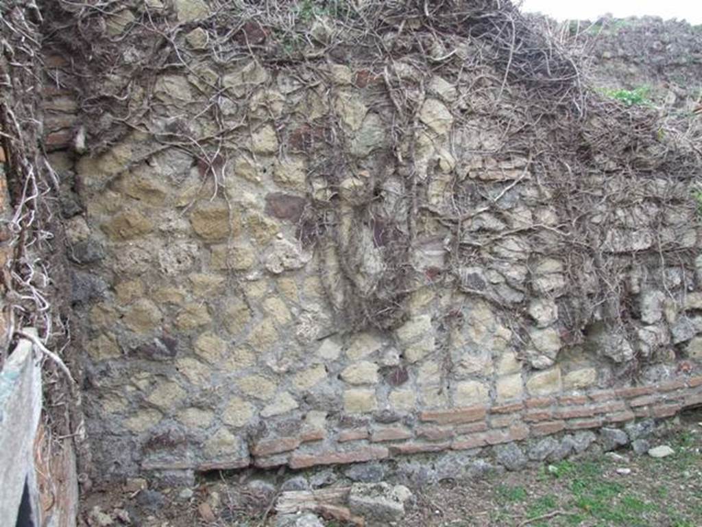 VII.2.10 Pompeii.  Shop.  December 2007.   South wall.