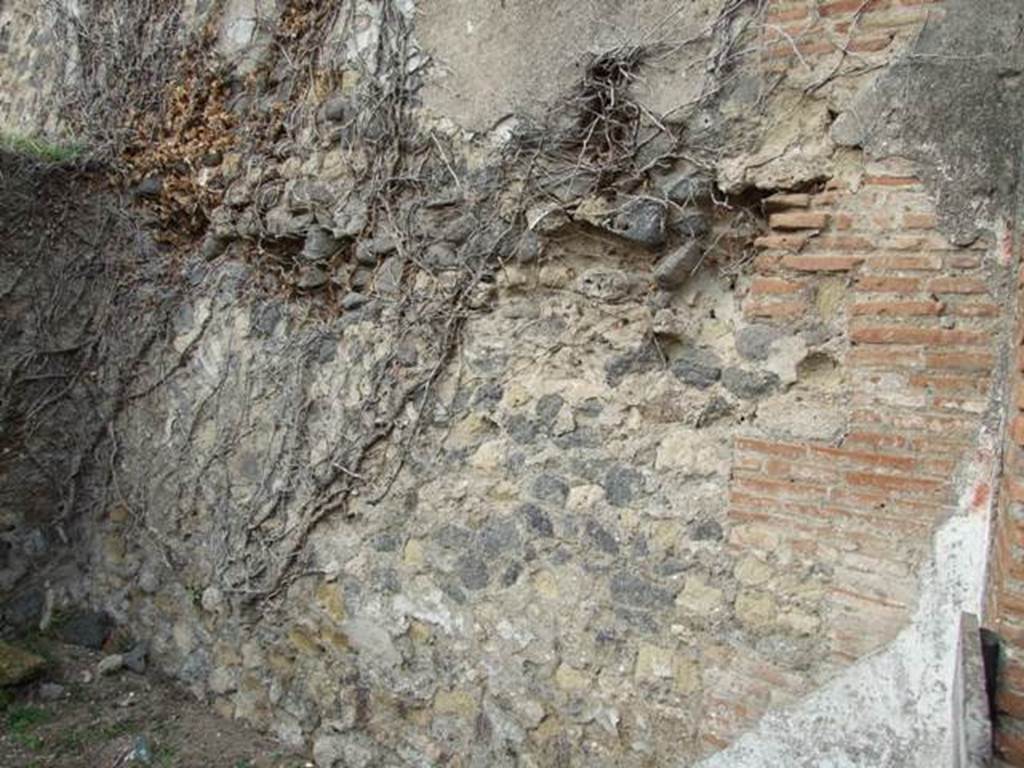 VII.2.10 Pompeii.  Shop.  December 2007.  North wall.