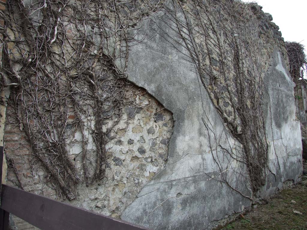 VII.2.11 Pompeii. December 2007. South wall of wide vestibule.