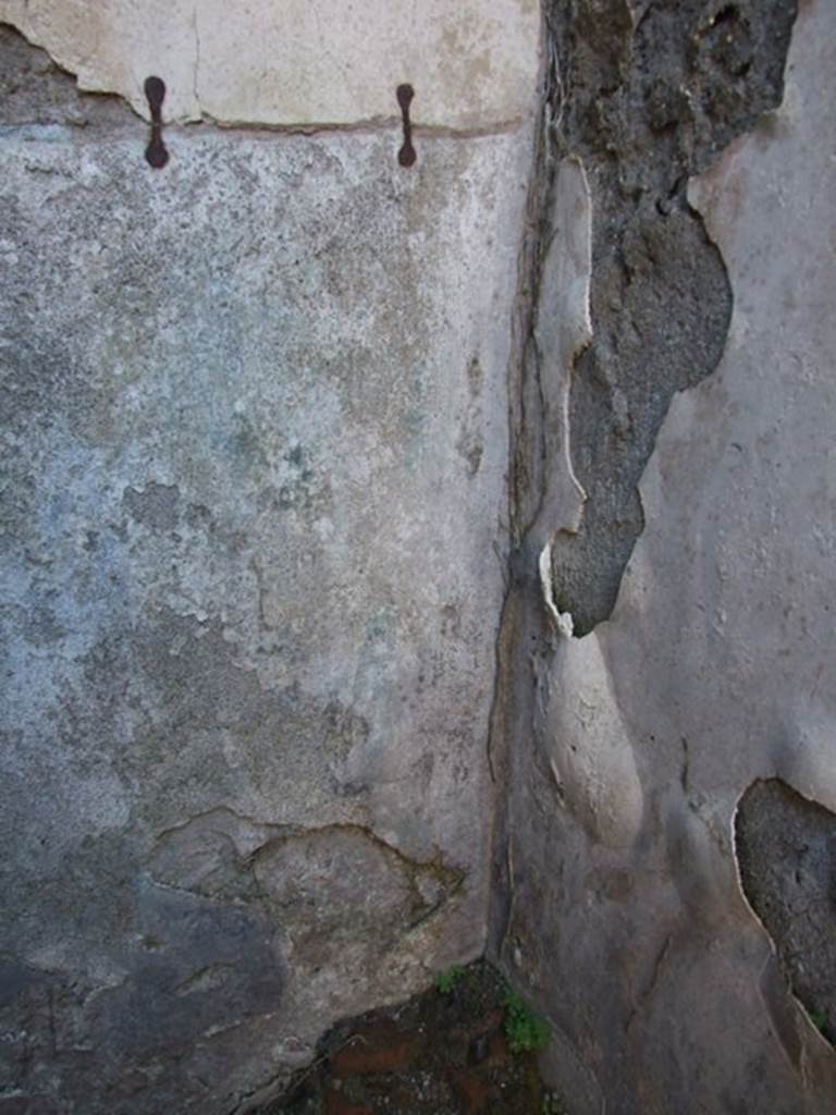 VII.2.14 Pompeii.  March 2009. Garden room.  North west corner.  Remains of painted plants can just be seen.