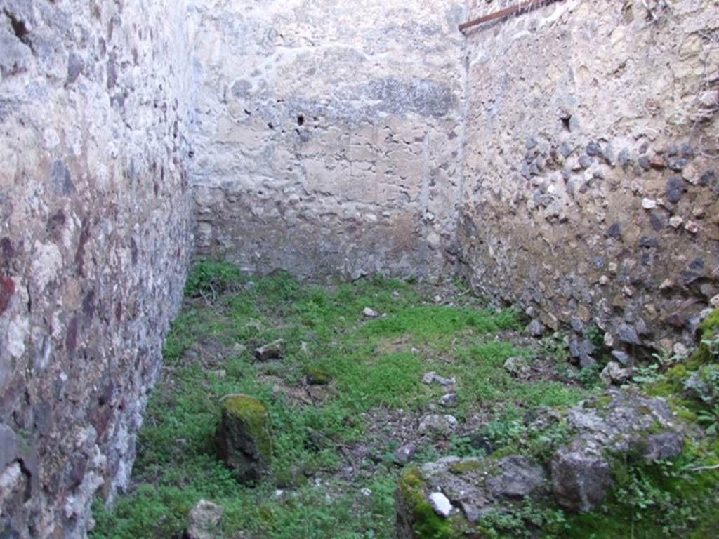 VII.2.14 Pompeii. March 2009. North wall of room in north west corner.  