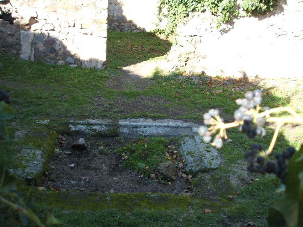 VII.2.14 Pompeii. December 2004. Looking north across impluvium in atrium.