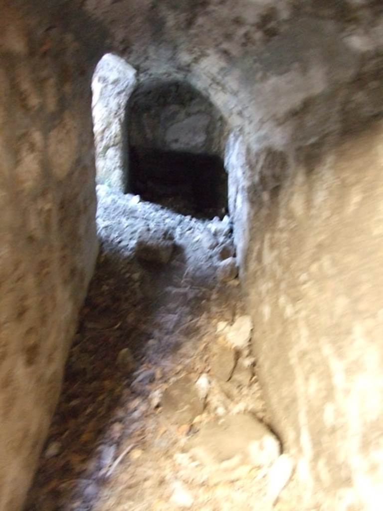 VII.2.14 Pompeii.  March 2009. Underground cellars at entrance to two rooms on north side of corridor.