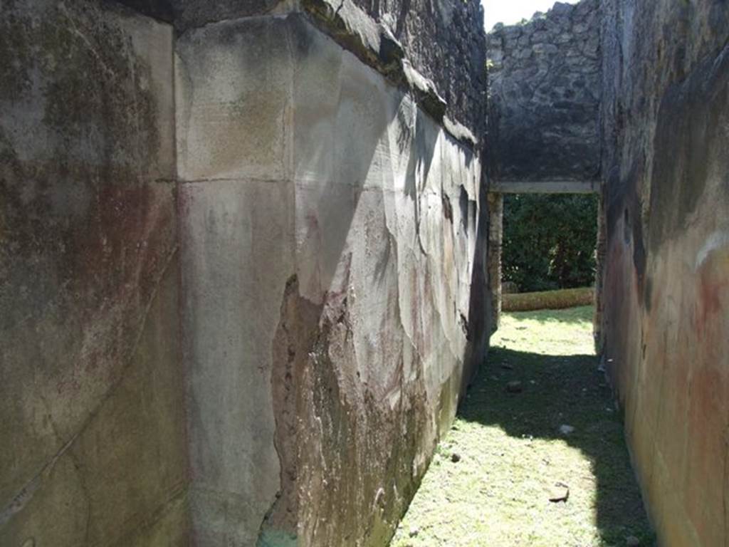 VII.2.20 Pompeii.  March 2009.  Room 9.  East wall of Corridor.  Looking south.