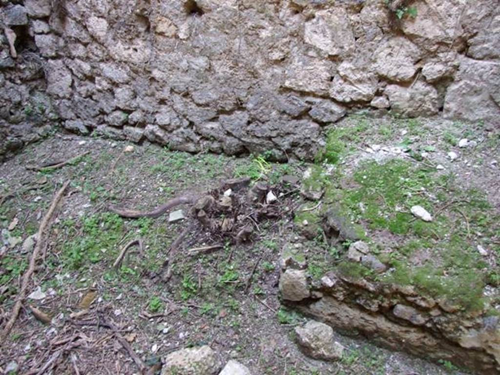 VII.2.20 Pompeii. March 2009. Room 10, north wall with remains of structure, possibly a wooden staircase.