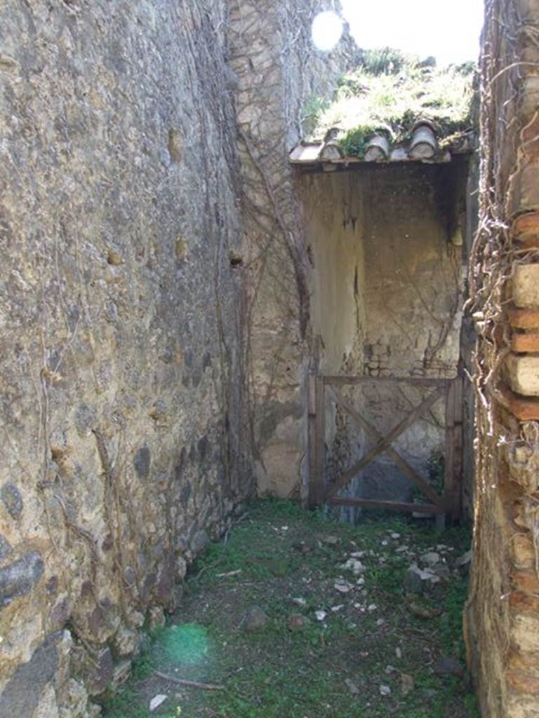 VII.2.20 Pompeii.  March 2009.  Room 15.  South end.