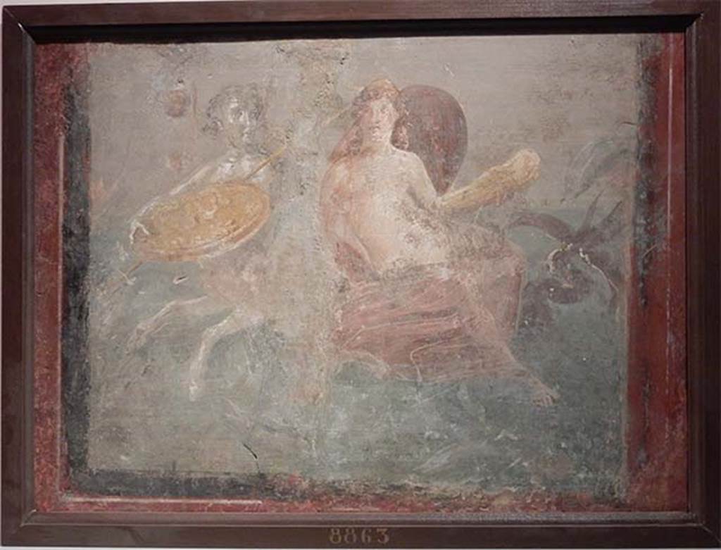 VII.2.25 Pompeii. Wall painting from triclinium.
On the museum card in 2016 the description is as follows.
A marine centaur bears Achilles’ shield and Thetis.
His greaves, in the form of dolphins, swim around them.
Now in Naples Archaeological Museum. Inventory number 8863.
Photo courtesy of Buzz Ferebee.
Helbig describes this as:
Thetis, von den Hüften abwarts mit einem rothen Gewande bedeckt, eine Stephane um das Haupt, sitzt auf einem jugendlichen Seekentauren, welcher sich nach ihr umblickt. In der L. hält sie eine goldfarbige Beinschiene, der Kentaur einen Schild, worauf als Zeichen ein Delphin zu sehen ist, und einen stabähnlichen Gegenstand, vermuthlich einen Speer.
See Helbig, W., 1868. Wandgemälde der vom Vesuv verschütteten Städte Campaniens. Leipzig: Breitkopf und Härtel, 1319.