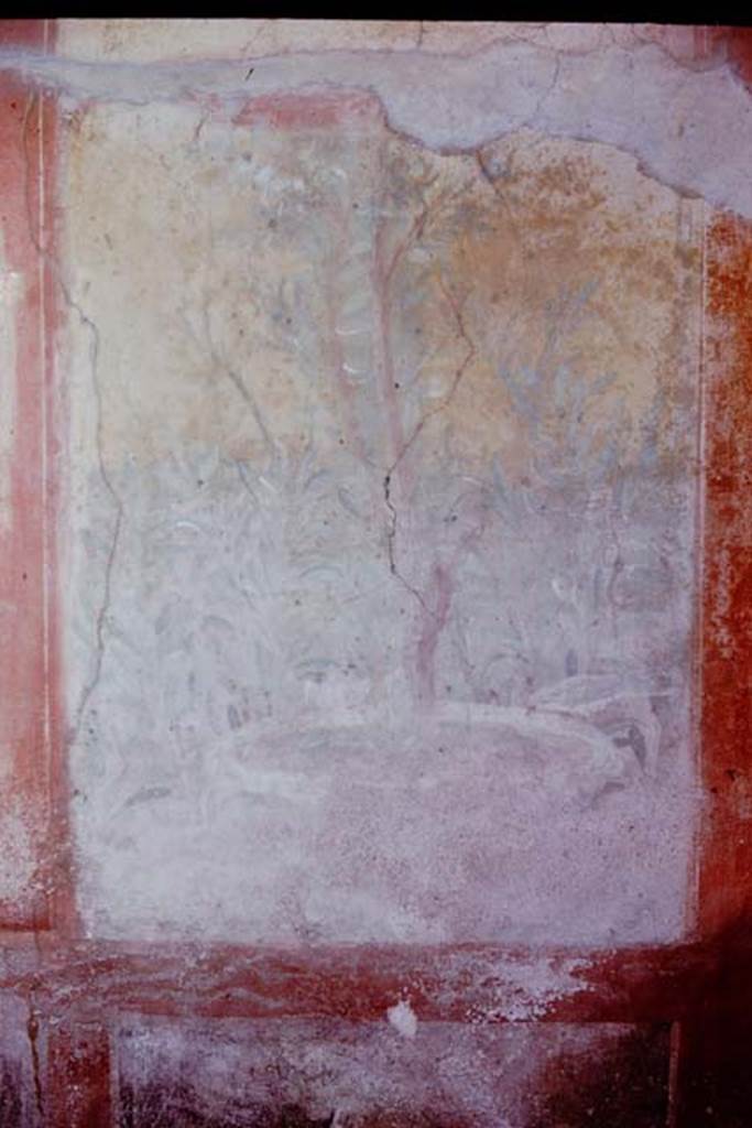 VII.2.25 Pompeii. 1961. Panel at west end of south wall, with plants, birds and a labrum. Photo by Stanley A. Jashemski.
Source: The Wilhelmina and Stanley A. Jashemski archive in the University of Maryland Library, Special Collections (See collection page) and made available under the Creative Commons Attribution-Non Commercial License v.4. See Licence and use details.
J61f0764