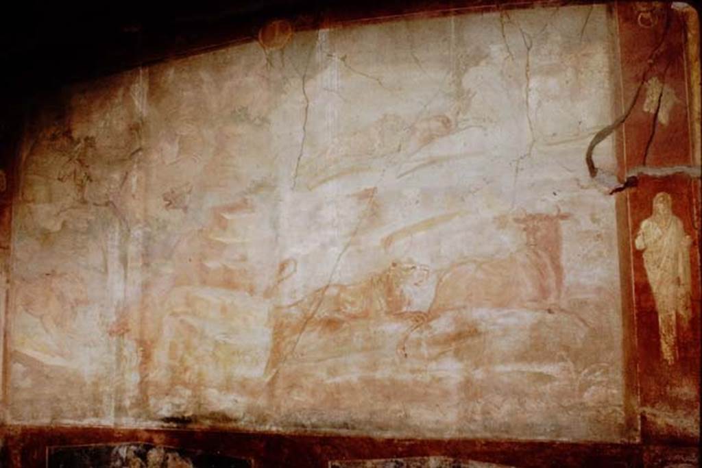 VII.2.25 Pompeii. 1964. Viridarium, large animal painting from south wall. Photo by Stanley A. Jashemski.
Source: The Wilhelmina and Stanley A. Jashemski archive in the University of Maryland Library, Special Collections (See collection page) and made available under the Creative Commons Attribution-Non Commercial License v.4. See Licence and use details.
J64f1377