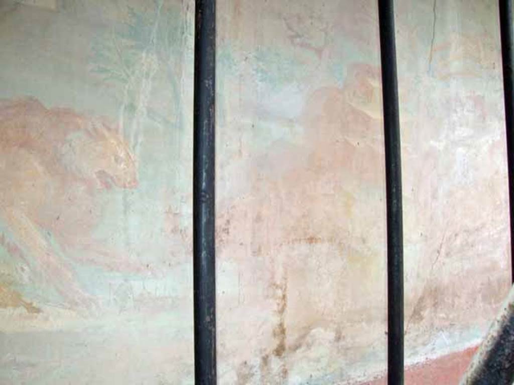 VII.2.25 Pompeii. March 2009. Viridarium, detail of lion and a wild boar from east end of large painting on south wall.