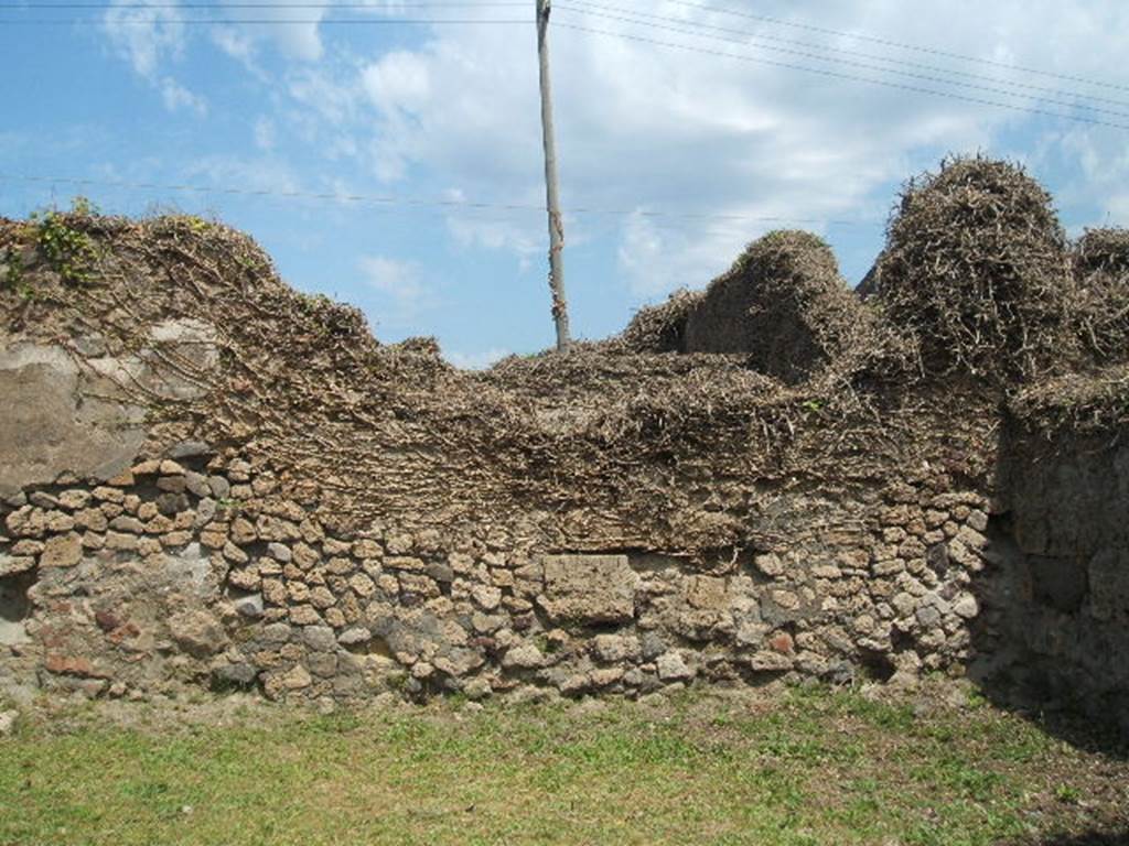 VII.2.36 Pompeii.  May 2005.  North wall.