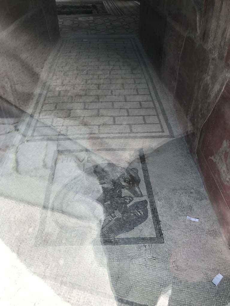 VII.2.45 Pompeii, April 2019.
Looking north along entrance corridor with mosaic in vestibule, taken through glass screen.
Photo courtesy of Rick Bauer.