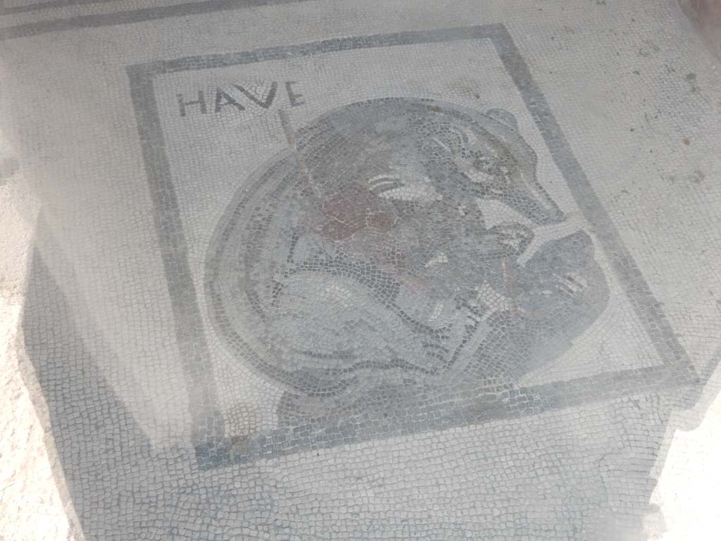 VII.2.45 Pompeii, June 2019. Mosaic in vestibule, taken through glass screen. Photo courtesy of Buzz Ferebee.