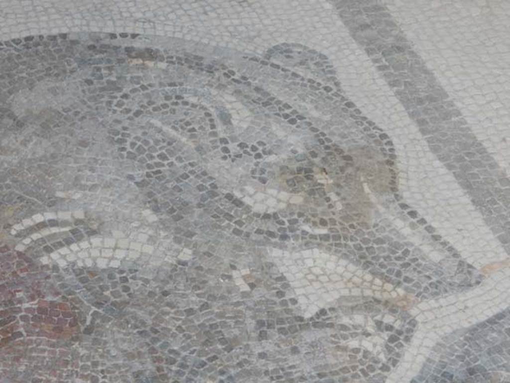 VII.2.45 Pompeii, May 2018. Bear mosaic in vestibule, detail. Photo courtesy of Buzz Ferebee.