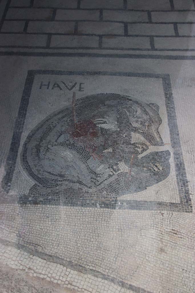 VII.2.45 Pompeii. September 2017. Flooring in vestibule with bear mosaic.
Photo courtesy of Klaus Heese.