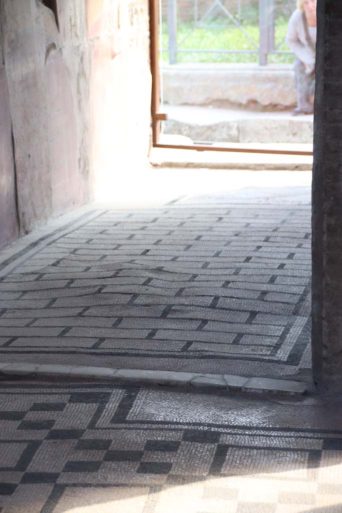 VII.2.45 Pompeii, September 2017.
Looking south from atrium across vestibule flooring towards entrance doorway.
Photo courtesy of Klaus Heese.