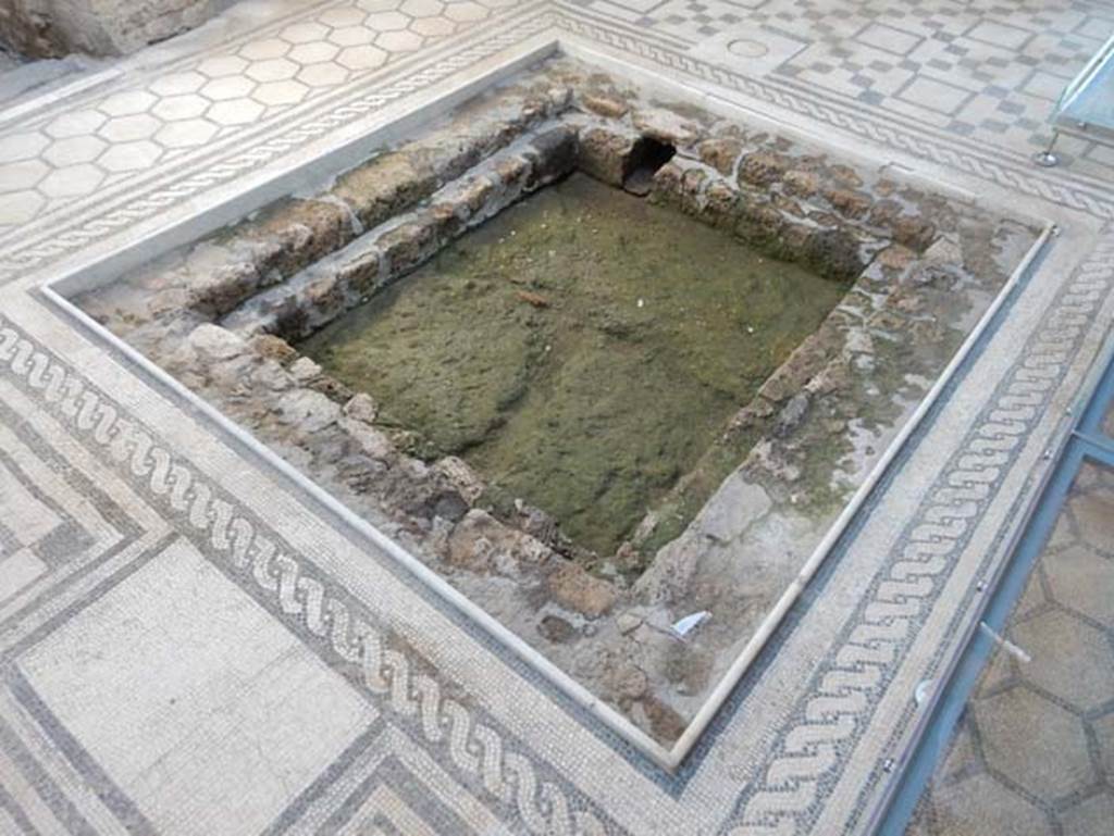 VII.2.45 Pompeii, May 2018. Impluvium in atrium. Photo courtesy of Buzz Ferebee.