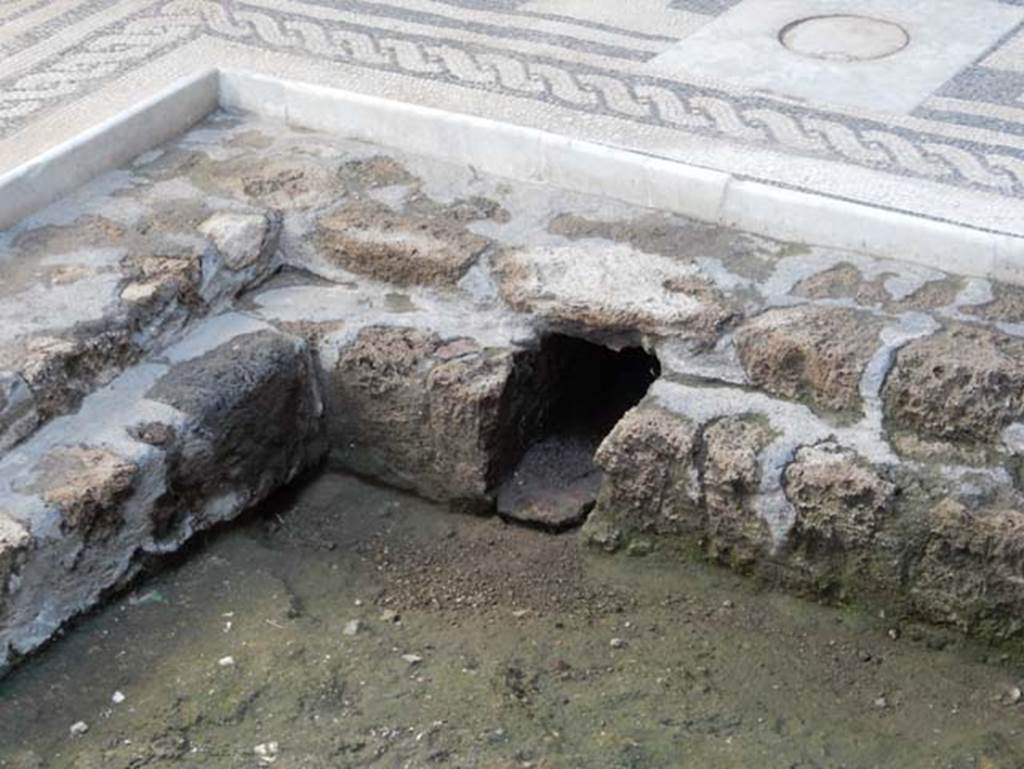 VII.2.45 Pompeii, May 2018. Detail from impluvium in atrium. Photo courtesy of Buzz Ferebee.