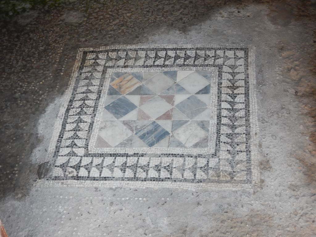 VII.2.45 Pompeii, June 2019. Central emblema set in flooring of cubiculum. Photo courtesy of Buzz Ferebee.