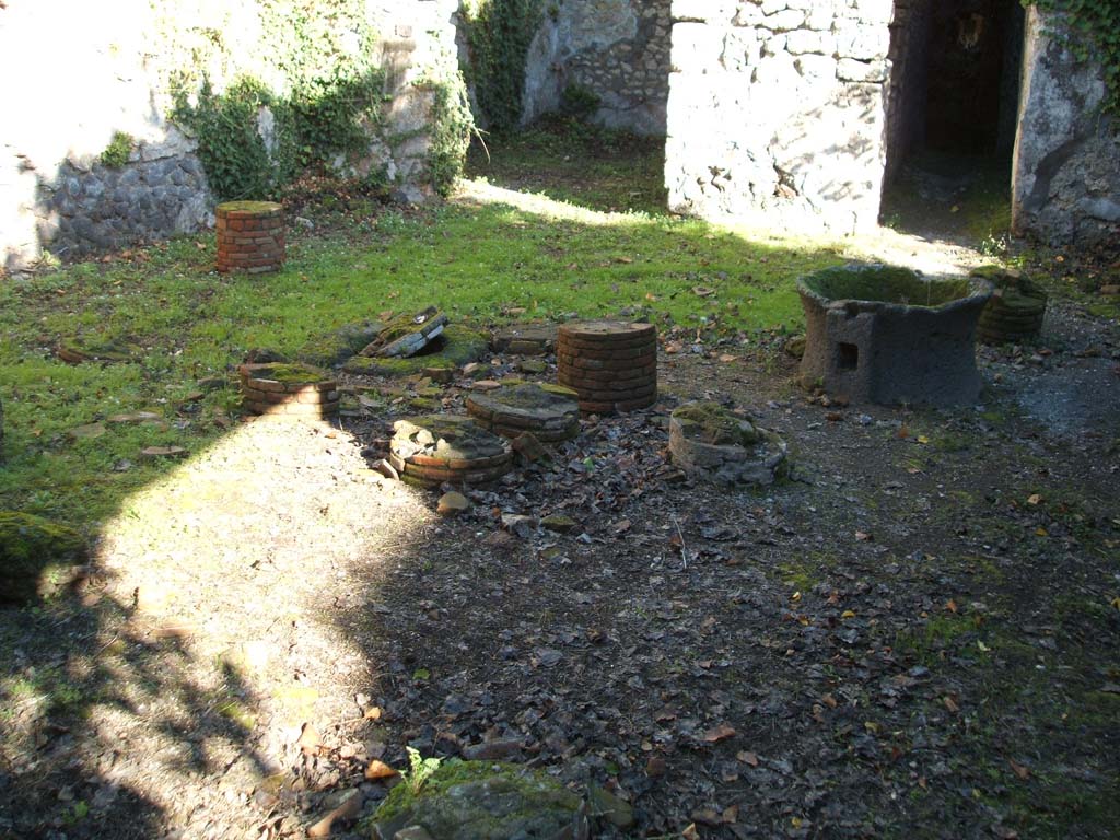 VII.2.51 Pompeii. December 2004. Looking east across viridarium.