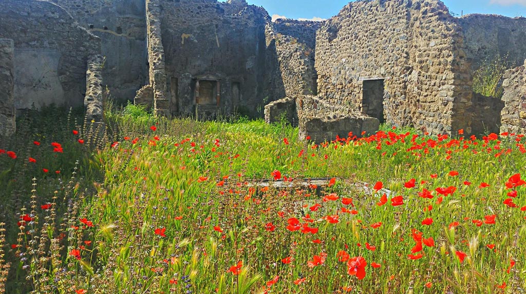 VII.3.6 Pompeii. 2016/2017. 
Looking south-west across atrium through tablinum to garden at rear. Photo courtesy of Giuseppe Ciaramella.
