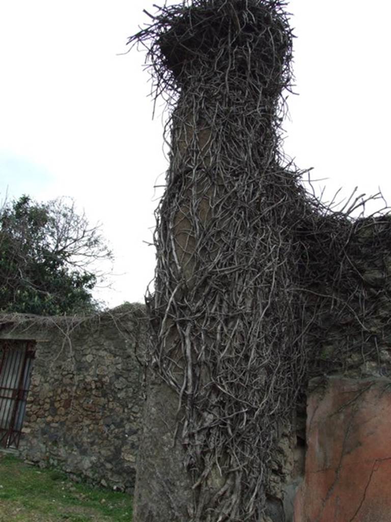 VII.3.11 Pompeii. March 2009. Second Tufa column in north wall of atrium.