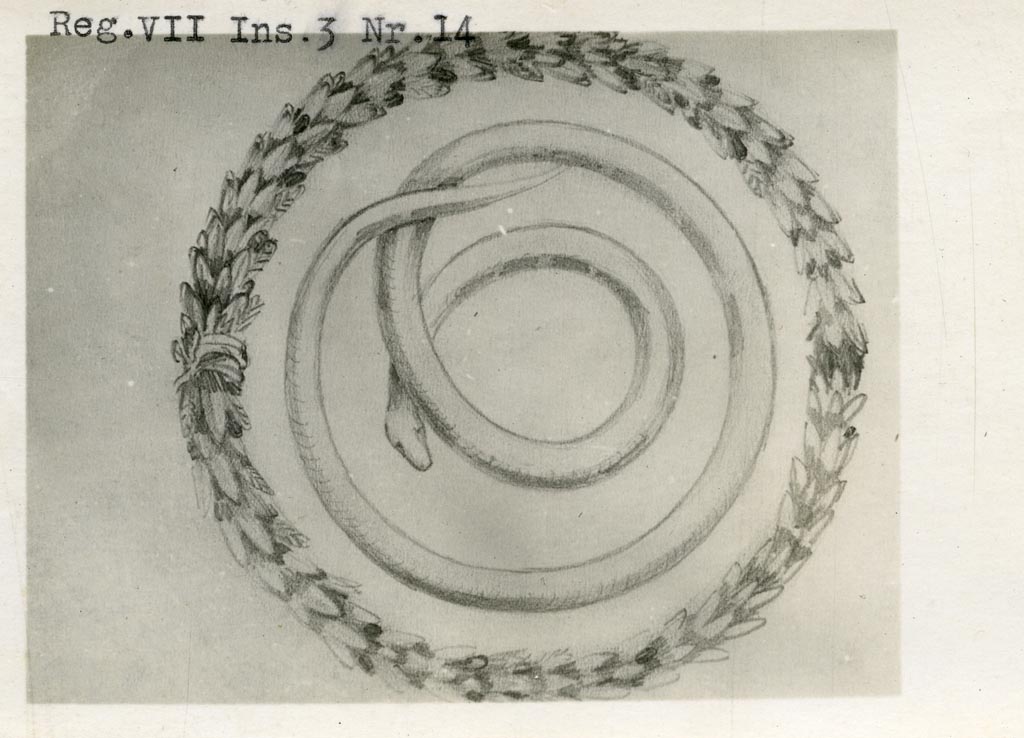 VII.3.13 Pompeii, but shown as VII.3.14 on photo. Pre-1937-39.
Drawing of stucco serpent set into a wreath of laurel (diam. 0.70) found on the east wall of the lower lararium.
Photo courtesy of American Academy in Rome, Photographic Archive. Warsher collection no. 510.
See Carratelli, G. P., 1990-2003. Pompei: Pitture e Mosaici. VI. (6). Roma: Istituto della enciclopedia italiana, p. 869.