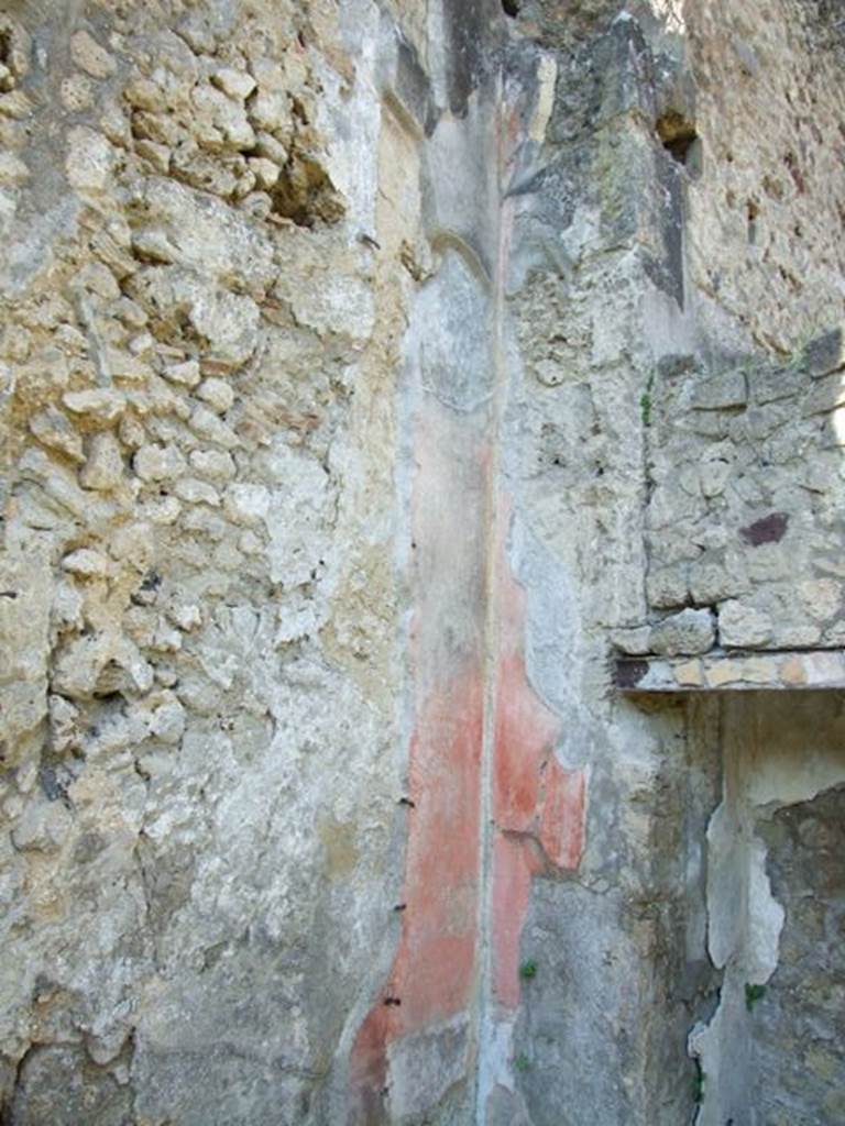 VII.3.29 Pompeii. March 2009. Room 1, remains of wall plaster in north-west corner of atrium.