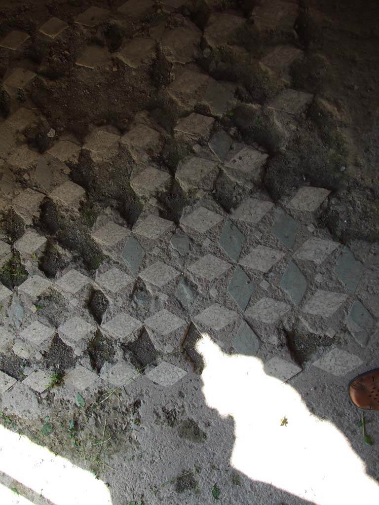 VII.3.29 Pompeii. March 2009. Room 10, detail of cubiculum floor.