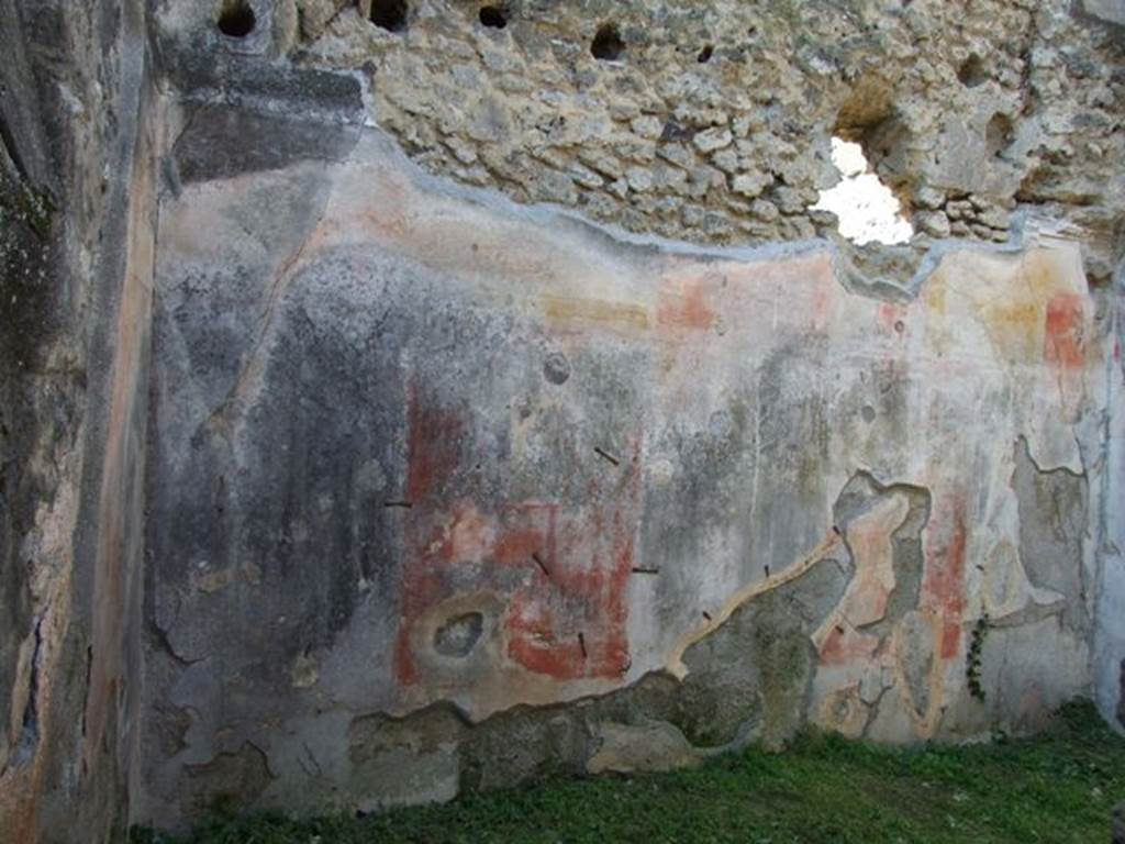 VII.3.29 Pompeii.  March 2009.  Room 3. Triclinium.  West wall.