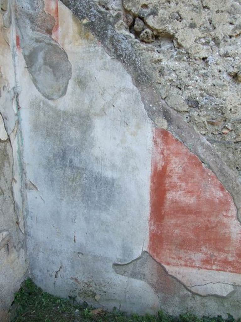 VII.3.29 Pompeii.  March 2009. Room 3. Triclinium.  North wall.