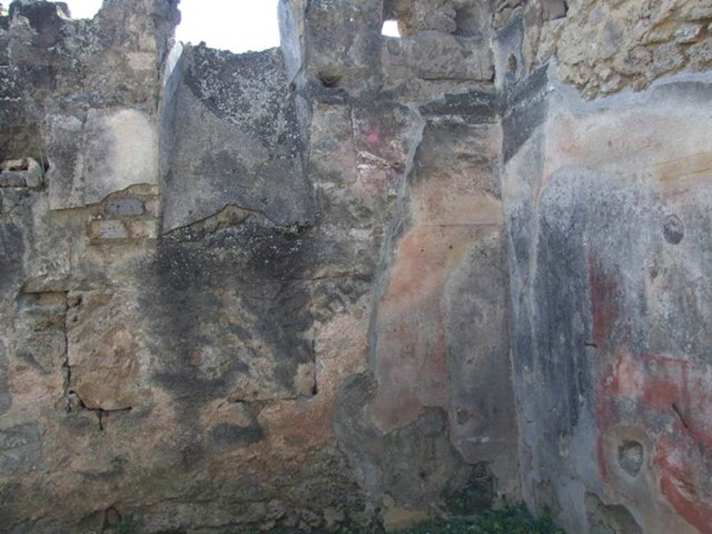 VII.3.29 Pompeii.  March 2009.  Room 3. Triclinium.  South wall.