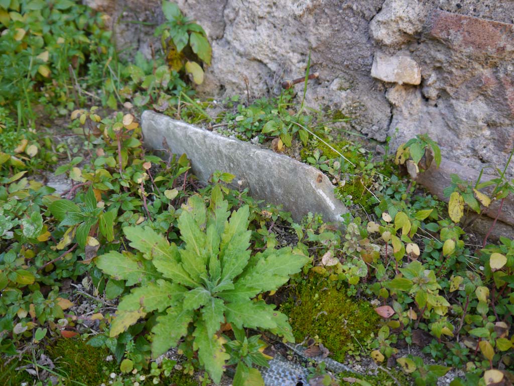 VII.4.1, Pompeii. March 2019. Detail from west, interior wall of cella/sanctuary, on south side of entrance doorway.
Foto Anne Kleineberg, ERC Grant 681269 DÉCOR.
