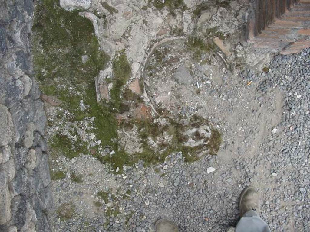 VII.4.4 Pompeii. May 2003. Remains embedded in floor in cupboard or small room under stairs of VII.4.5. Photo courtesy of Nicolas Monteix.

