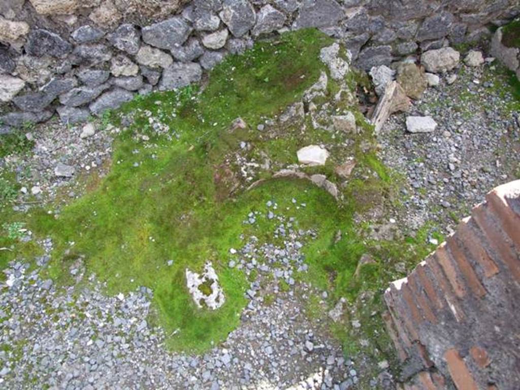 VII.4.4  Pompeii. March 2009.  Under stairs of VII.4.5.