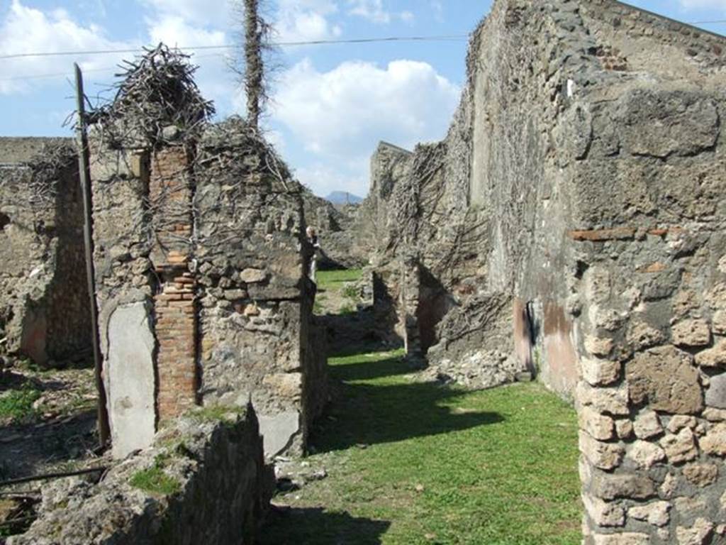 VII.4.29 Pompeii.  March 2009. Looking north from rear of shop.