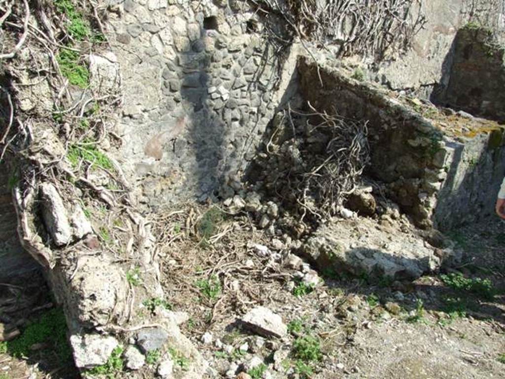 VII.4.29 Pompeii.  March 2009. Remains on east side or corridor.